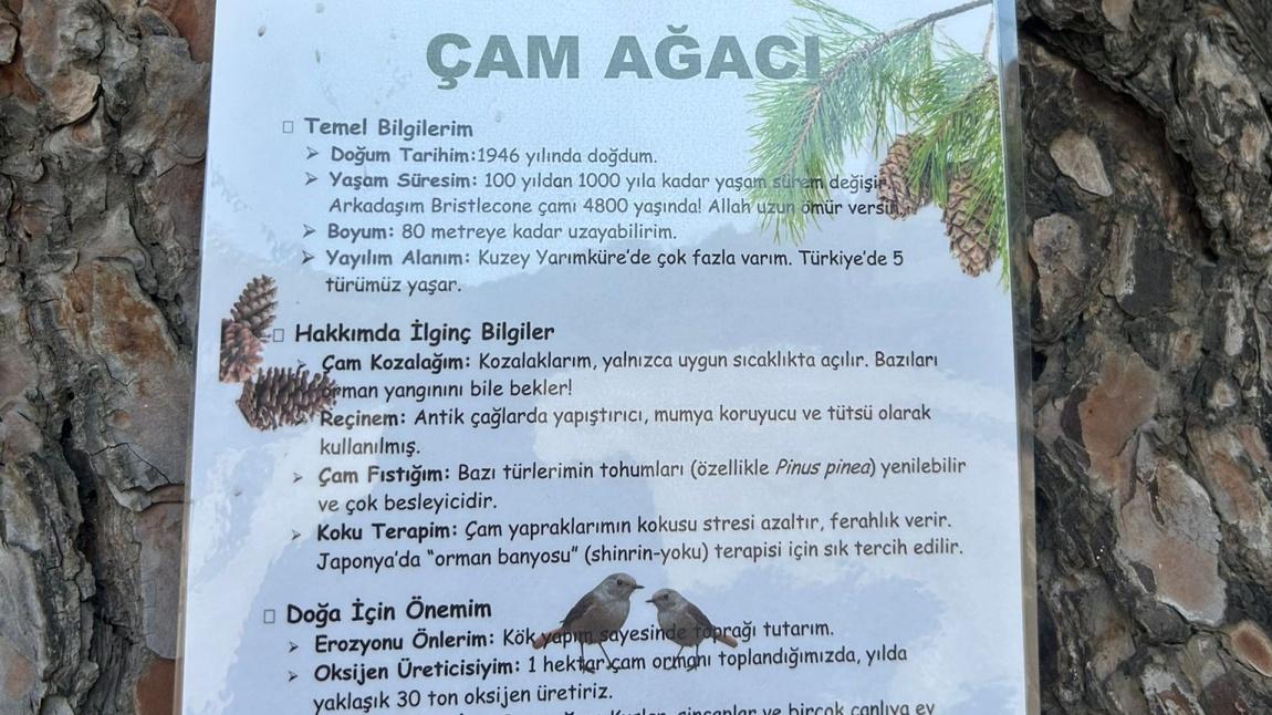 Ağaçlarımıza Künyelerini Astık.